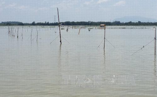 Đồng Nai